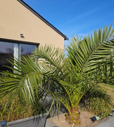 Gîte Camaloth - Closeries du Golfe