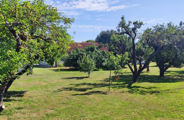 Gîte for 6 people in a green setting.