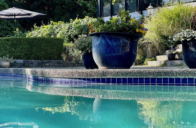 Games Studio Suite + shared Pool & Hot Tub