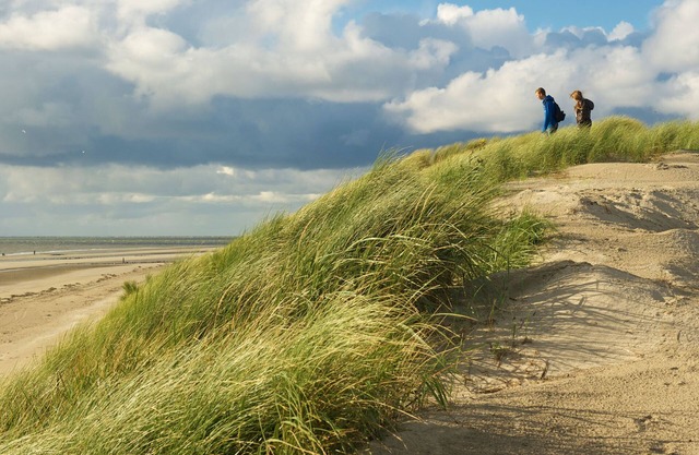 Garden House, op 150 met van het Strand en Dorp