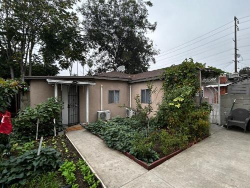 garden with Iron Gate, East Los Angeles 2b2b