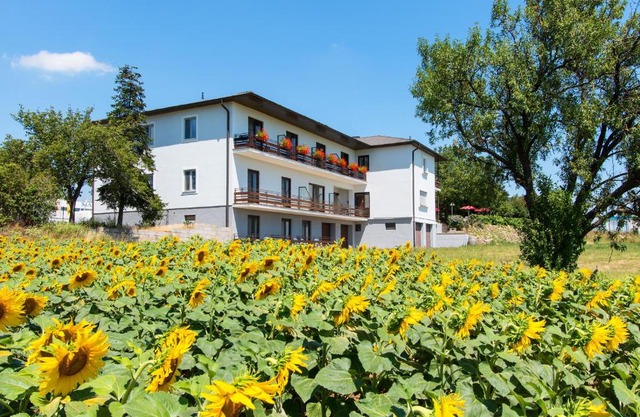 Gasthof-Pension Wein