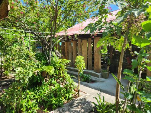 Gecko Guesthouse