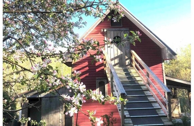 Genuine Farm experience! Barn loft on Organic Farm—pet pig and chickens below!