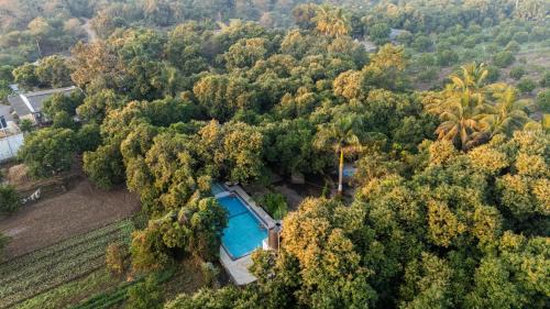 Gir County Resort