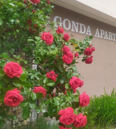 Gonda Apartments