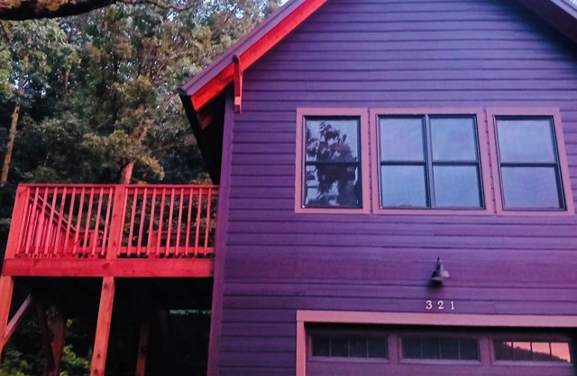 Gorgeous 1-bedroom mountain apartment in Asheville AC, WiFi, nature & beauty