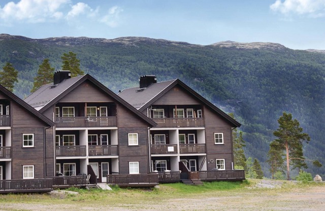 Gorgeous apartment in Uvdal with WiFi