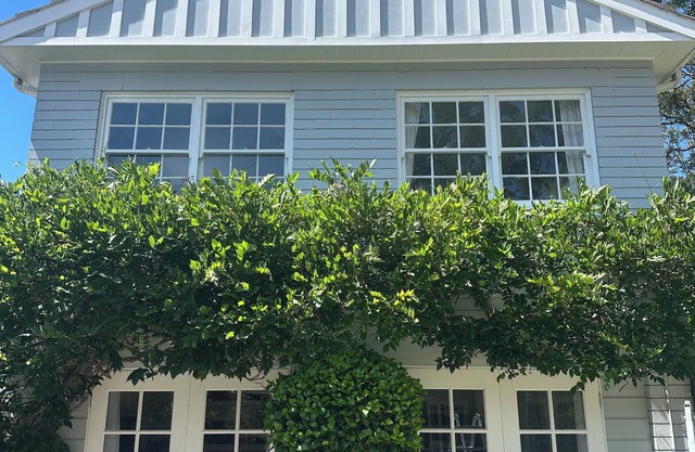 Gorgeous Granny Flat on Sydney’s Leafy North Shore.