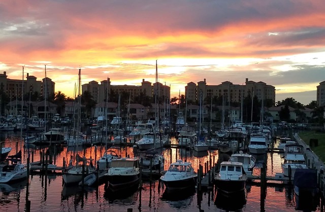 Gorgeous Harbor View and Magnificent Sunsets! Watch the Manatees play!