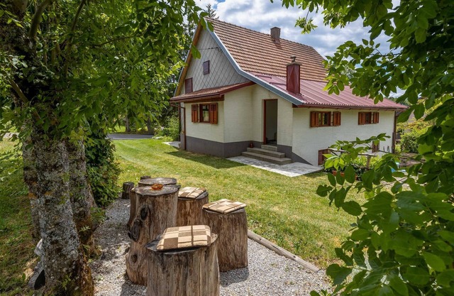 Gorgeous home in Ravna Gora with WiFi