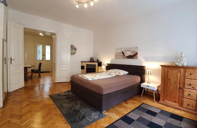 Gorgeous Viennese Apartment 10 min to City Center