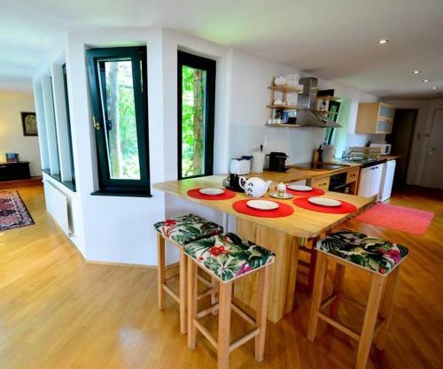 Green haven roofgarden penthouse in central area