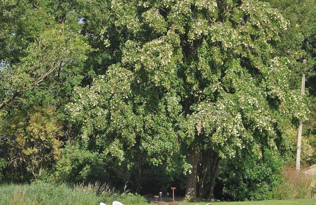 Groot Noordhof