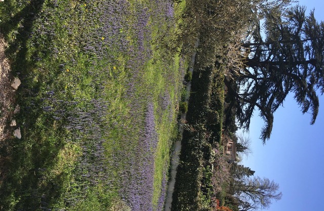 Ground floor apartment in private and quiet subdivision Avignon /Montfavet