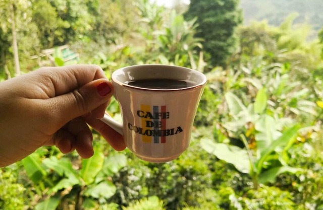 Guaduales del Café-Tourist apartment