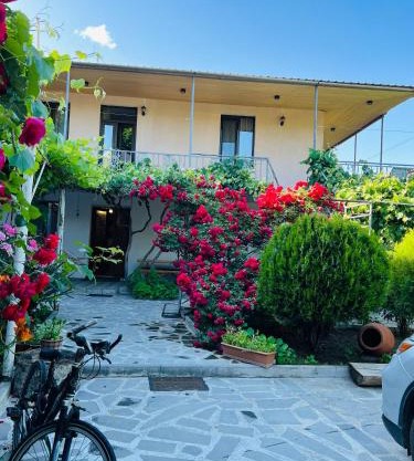 Guesthouse Mtkvari