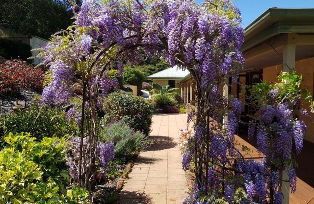 Gumtree House Montville