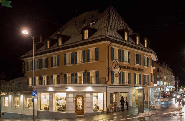 Hôtel du Cheval Blanc - City Center