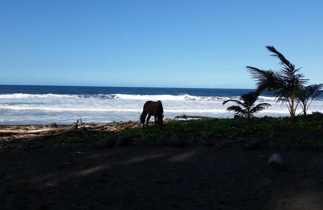 Hamakua Pukana La Hale 3 Bedroom Home by RedAwning