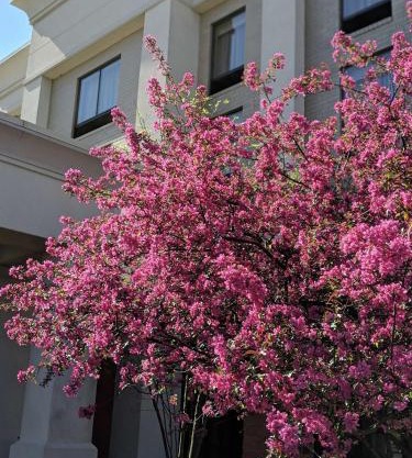 Hampton Inn & Suites Cincinnati-Union Centre