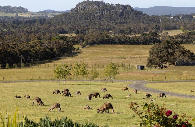 Hanging Rock Views
