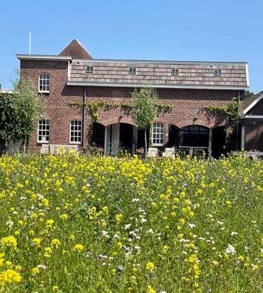 Het Wiekenkruis - Daar bij die Kempermolen