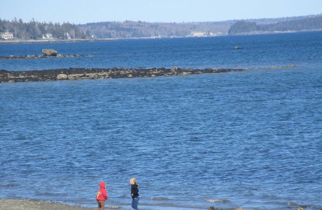 HIDDEN GEM !5 MILE TO Beach, 14 Mile to Acadia, Shopping, Bar Harbor, Hiking,