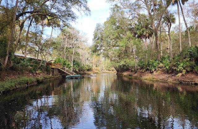 "High On The River" a quaint cabin resting along the upper Steinhatchee River.