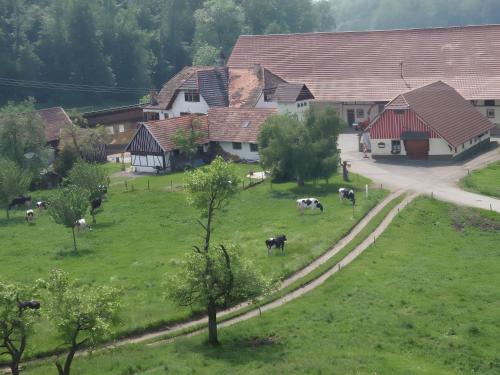 Hofgut Homboll
