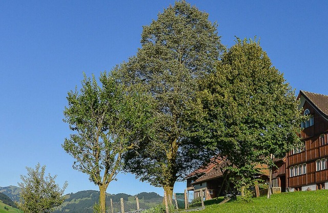 Holiday apartment Brülisau for 1 - 5 persons with 2 bedrooms - Farmhouse