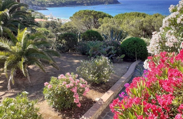 Holiday apartment Capoliveri for 1 - 4 persons with 1 bedroom - Holiday apartment