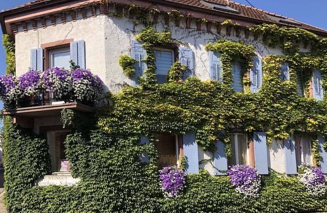 Holiday apartment Monet in Oberrotweil