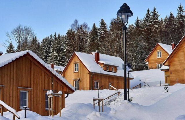 Holiday homes in the Schierke Harzresort, Schierke
