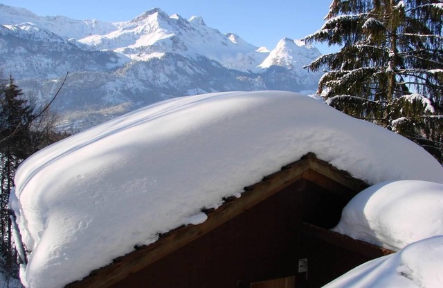 Holiday house Hasliberg Hohfluh for 1 - 4 persons with 2 bedrooms - Detached holiday house