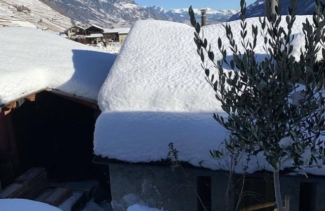 Holiday house Martigny-Croix for 1 - 2 persons with 1 bedroom - Chalet