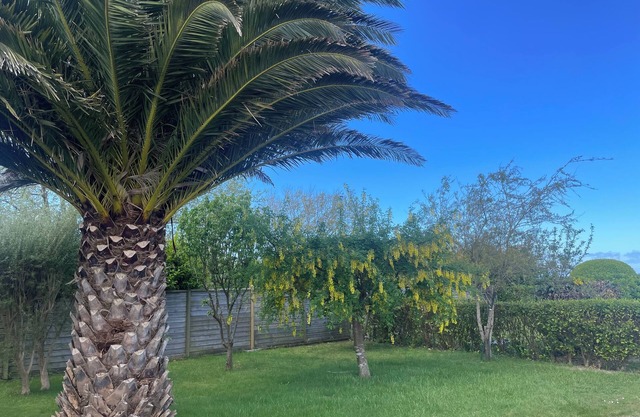 Holiday House Saint Pabu