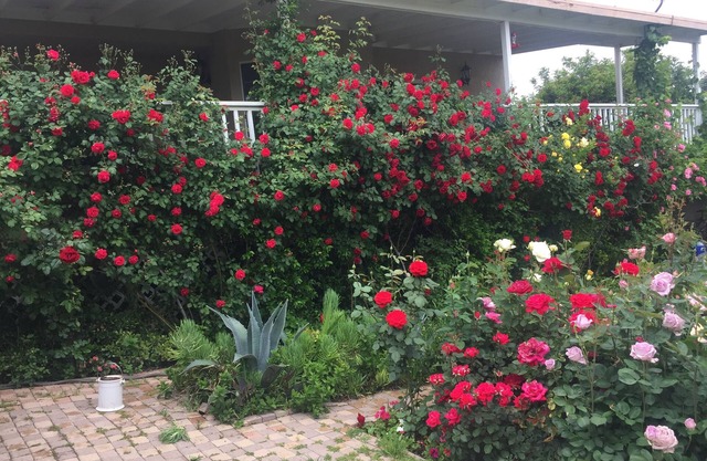 Home away from Home.Family & Pet friendly30+days