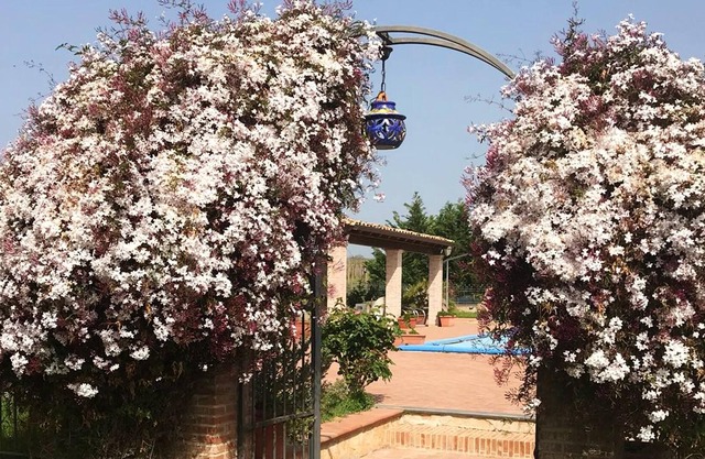 Homerez - Beautiful studio for 2 ppl. with shared pool at Grammichele