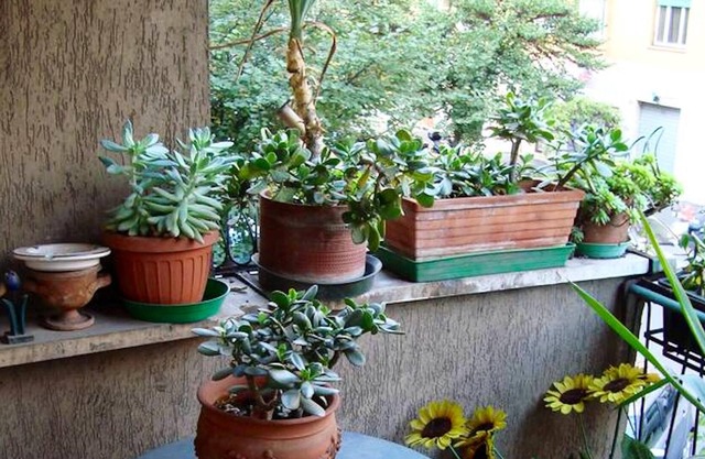 Homerez - Nice appartement for 5 ppl. with balcony at Roma
