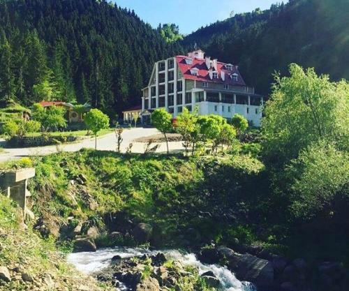 Hotel Green Valley Savsat
