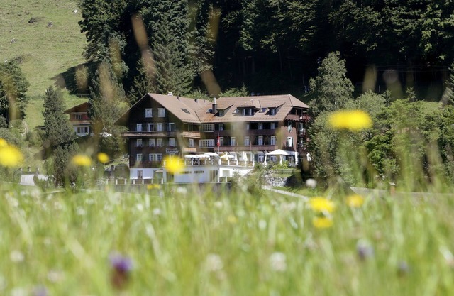Hotel Hammer