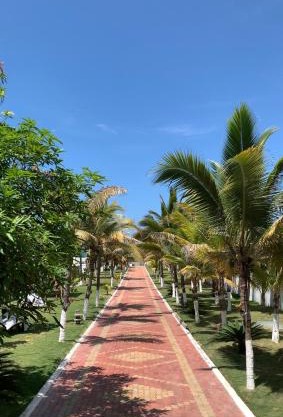 Hotel La Mar Playas