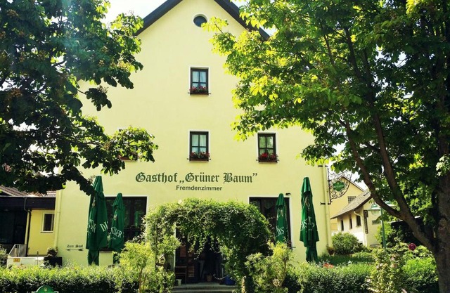 Hotel-Landgasthof Grüner Baum - Dittigheim