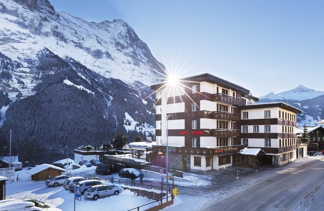 Hotel Spinne