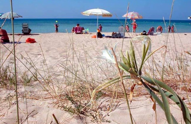 house in Salento, 3 km from the sea and 10km from SMdi Leuca ranging up to 14 p. bed