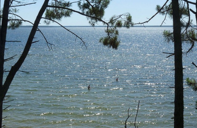 HOUSE TO RENT AT CAZAUX NEAR ARCACHON