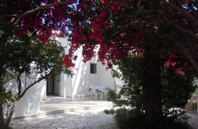House/Villa - Mahdia