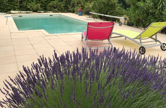 House with swimming pool in lavender fields near the Gorges du Verdon