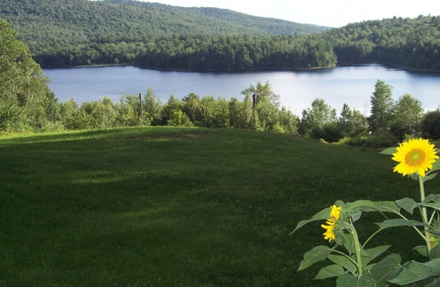 Hummingbird Hill Bed & Breakfast 1